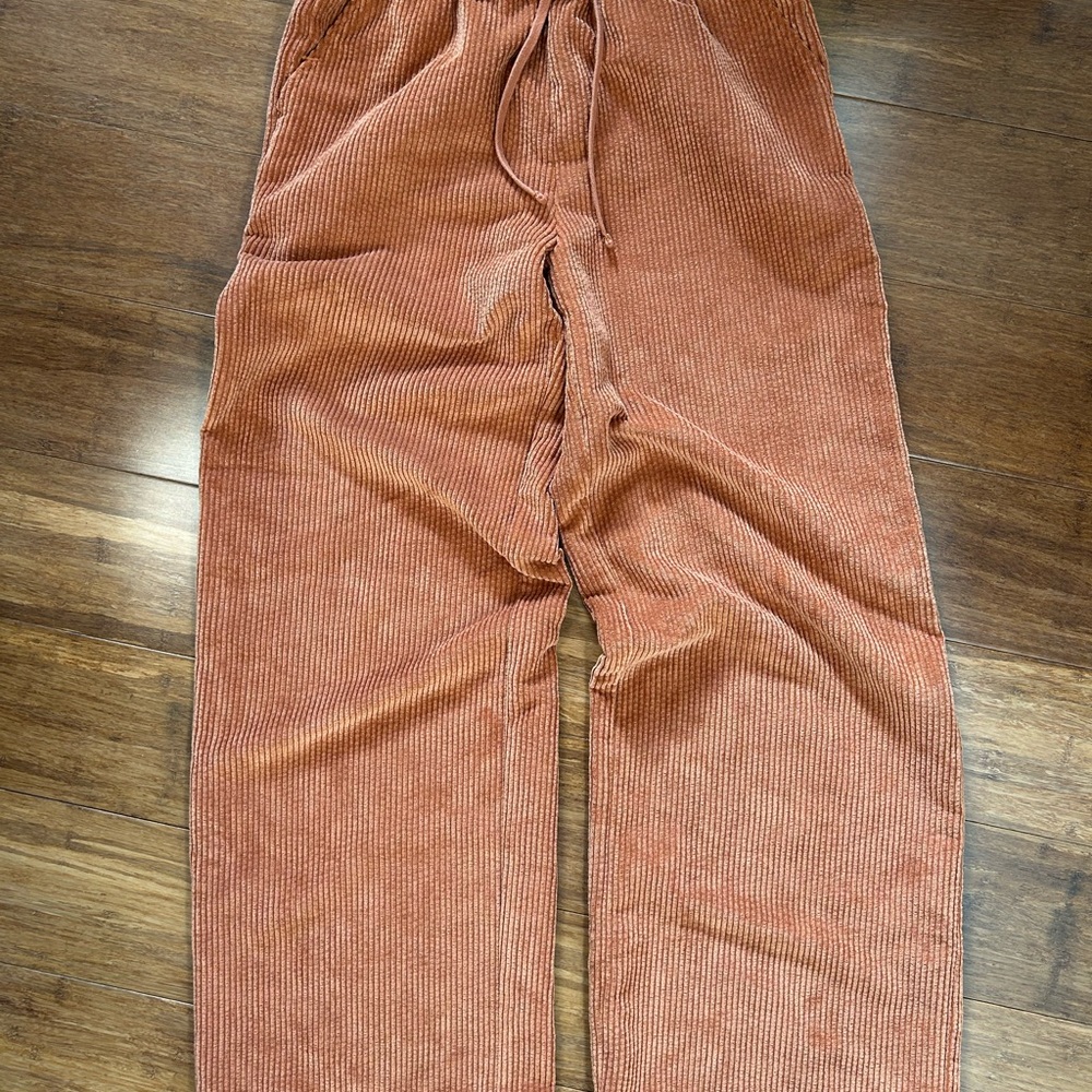 BDG Terracotta Corduroy wide leg pants